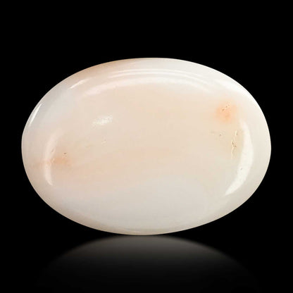 Japani White Coral 8.08 Carat