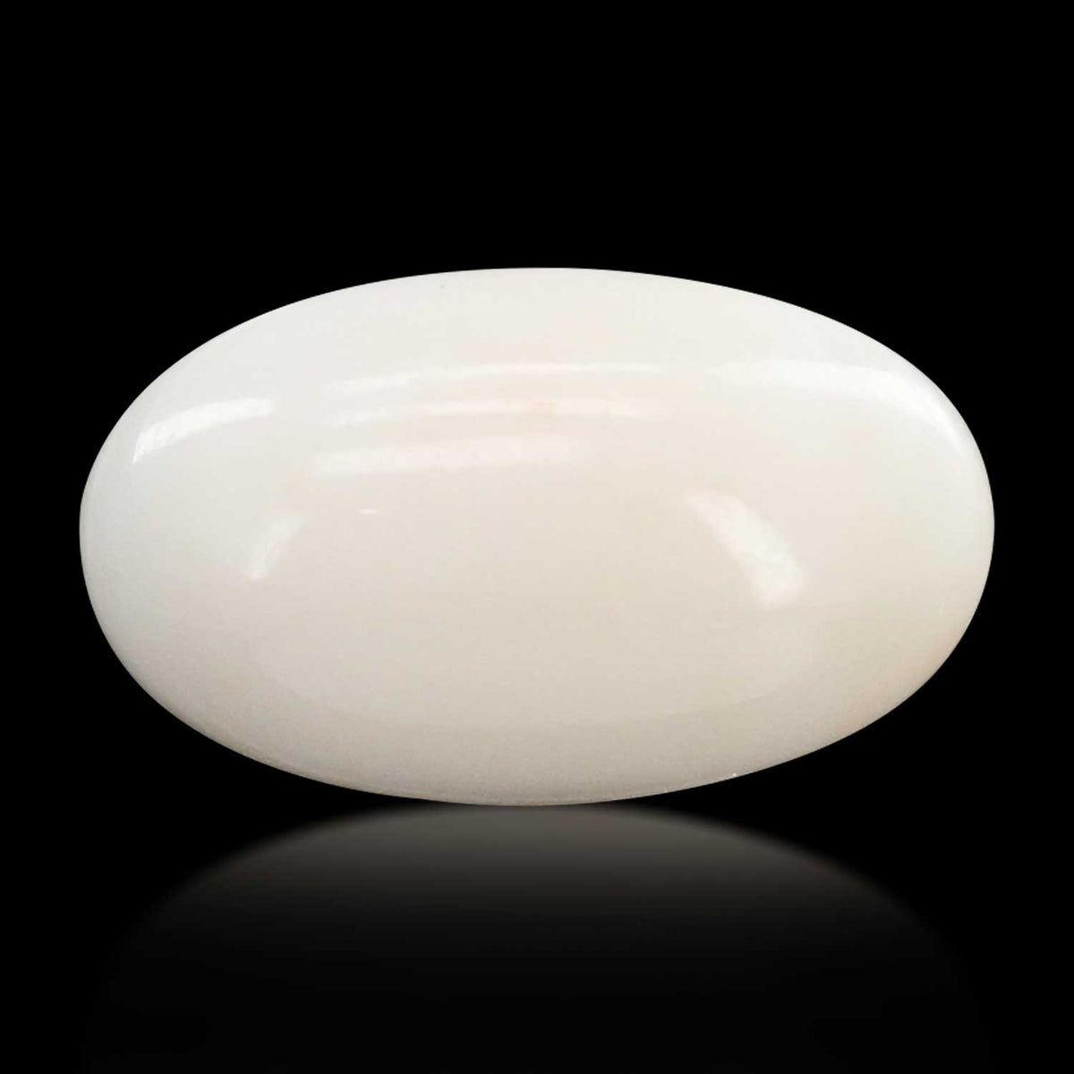 Japani White Coral 9.02 Carat