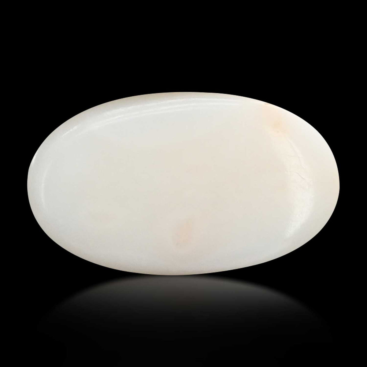Japani White Coral 9.02 Carat