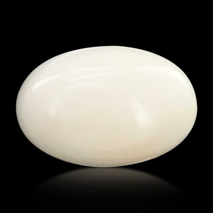 Japani White Coral 8.98 Carat
