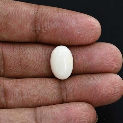 Japani White Coral 8.98 Carat