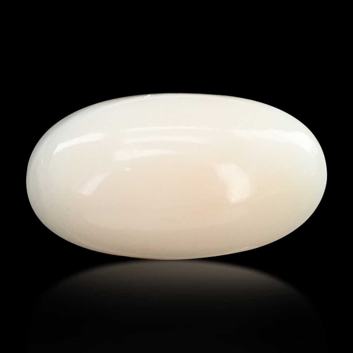 Japani White Coral 8.98 Carat