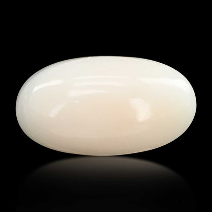 Japani White Coral 8.98 Carat