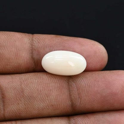 Japani White Coral 8.98 Carat