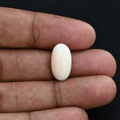 Japani White Coral 8.98 Carat