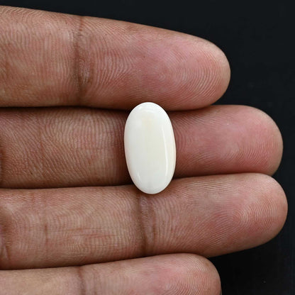 Japani White Coral 8.98 Carat
