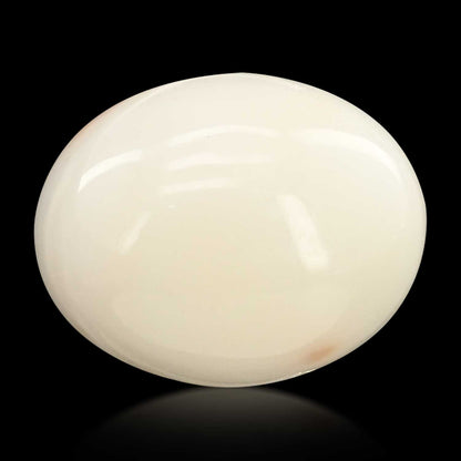 Japani White Coral 10.89 Carat