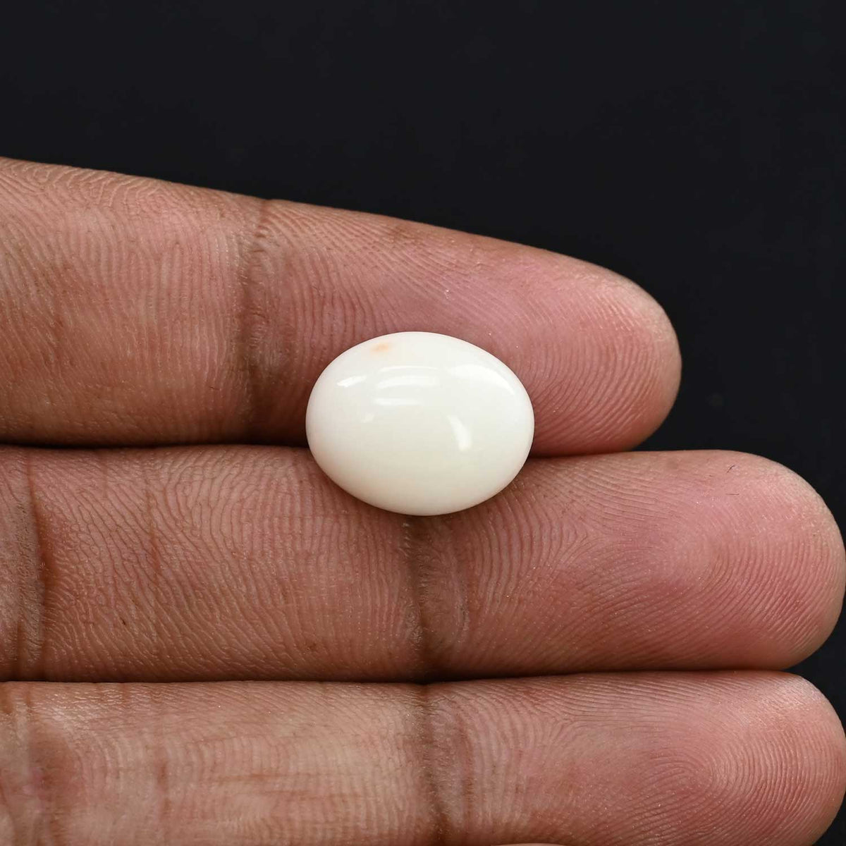 Japani White Coral 10.89 Carat