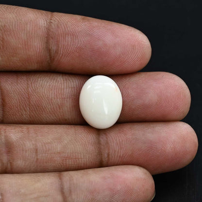 Japani White Coral 10.89 Carat