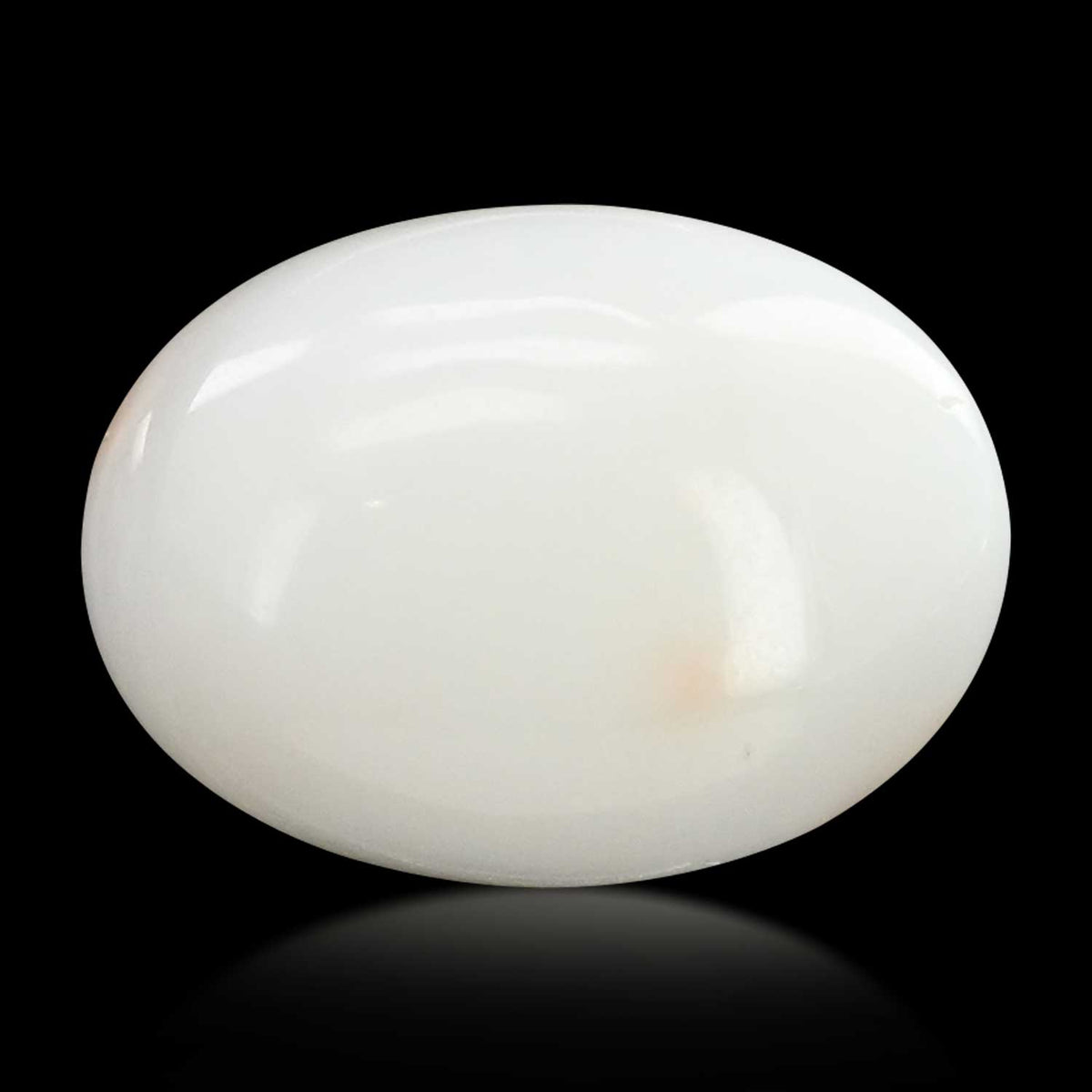 Japani White Coral 9.07 Carat