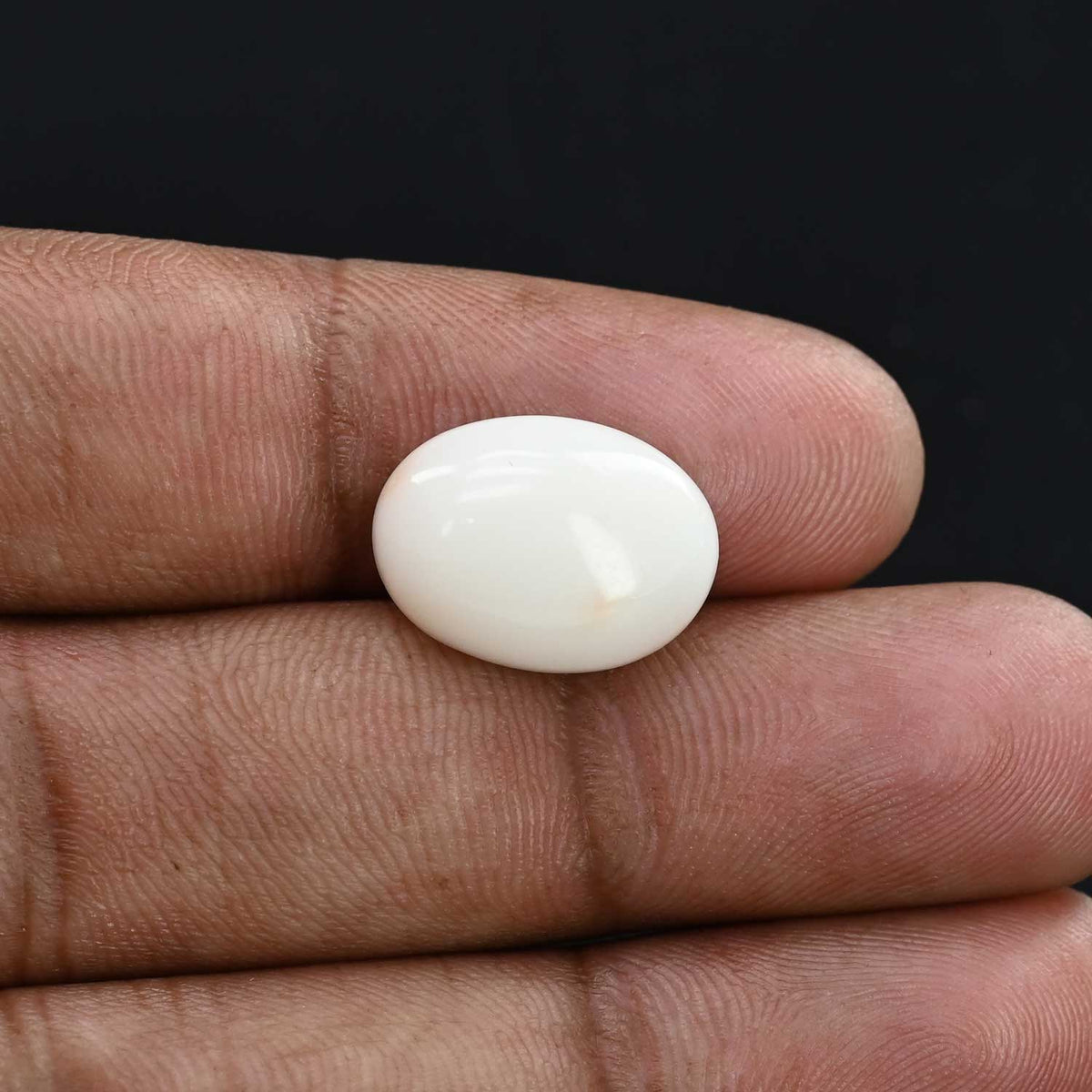 Japani White Coral 9.07 Carat