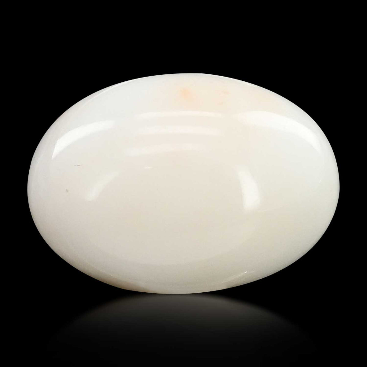 Japani White Coral 9.03 Carat