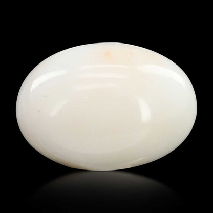 Japani White Coral 9.03 Carat