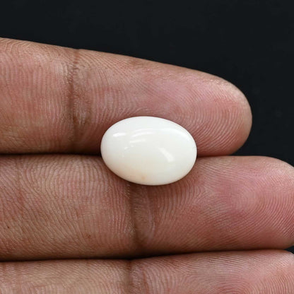 Japani White Coral 9.03 Carat
