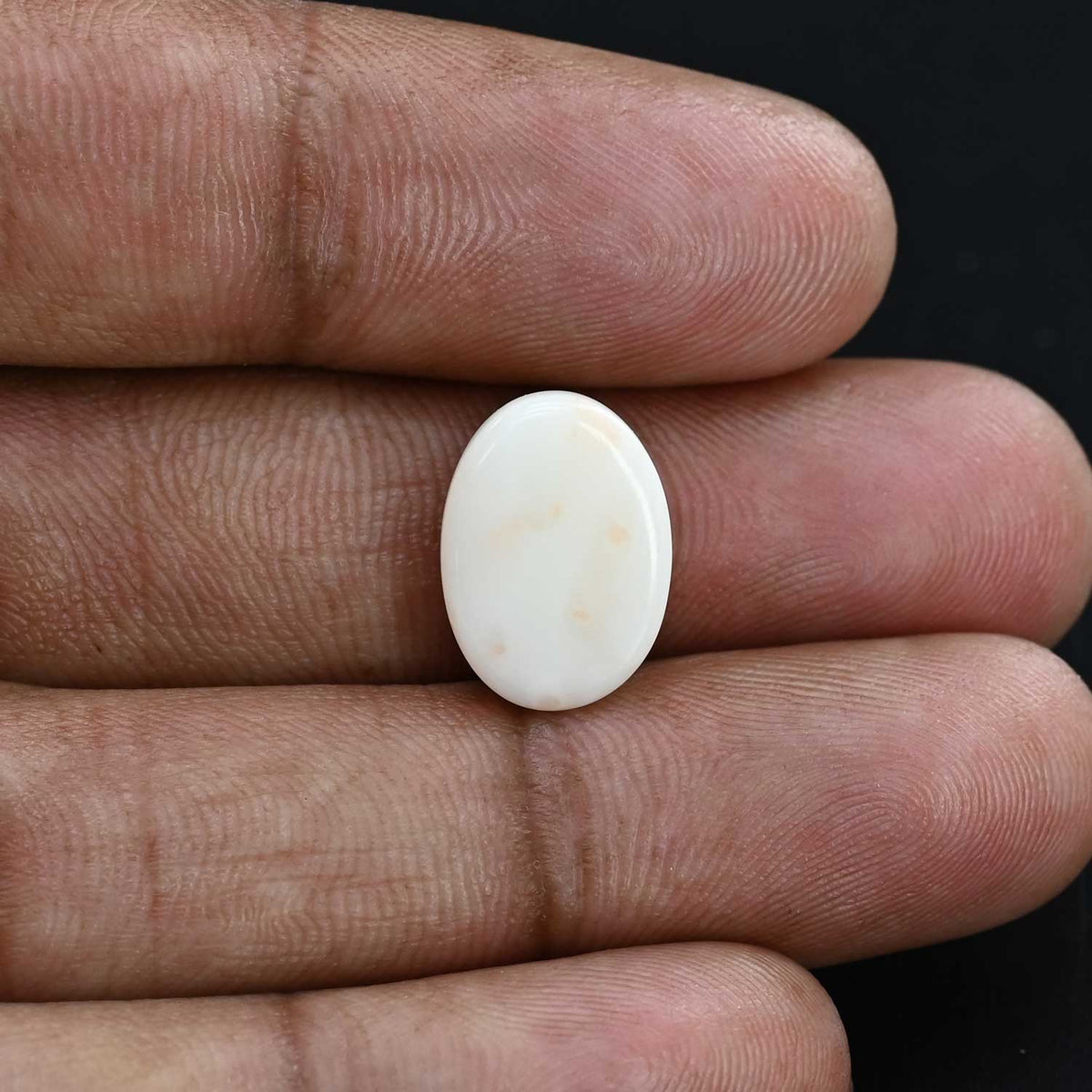 Japani White Coral 9.03 Carat