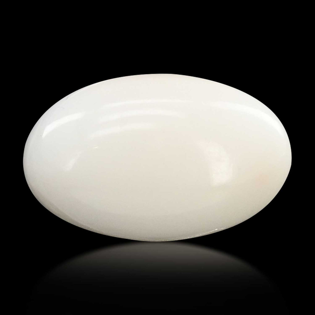 Japani White Coral 8.04 Carat