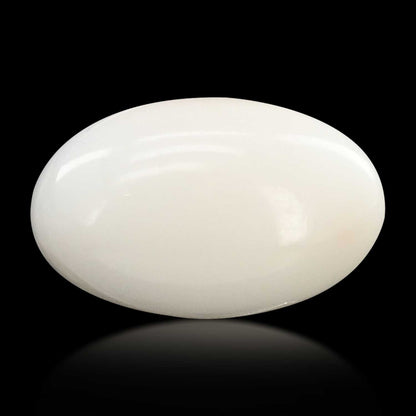Japani White Coral 8.04 Carat