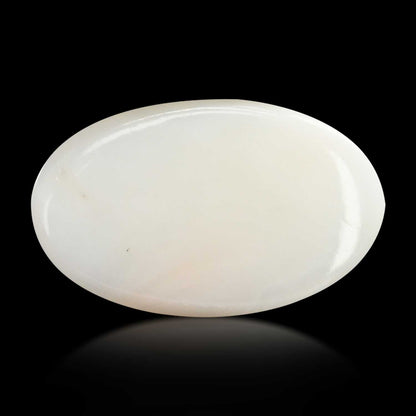 Japani White Coral 8.04 Carat
