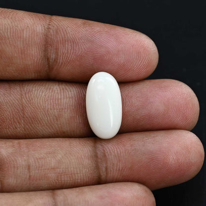Japani White Coral 8.49 Carat