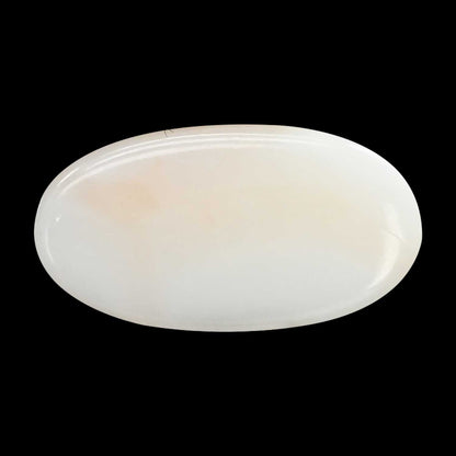 Japani White Coral 6.85 Carat