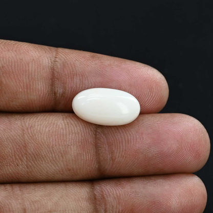 Japani White Coral 6.85 Carat