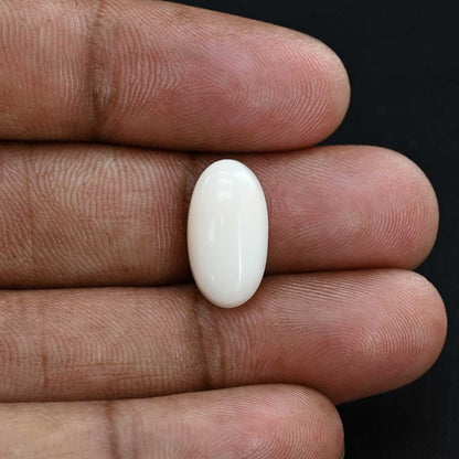 Japani White Coral 6.85 Carat