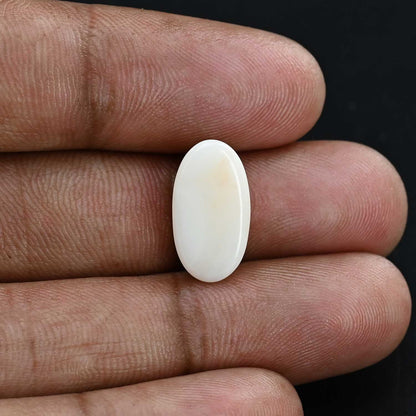 Japani White Coral 6.85 Carat