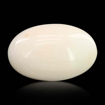 Japani White Coral 9.18 Carat