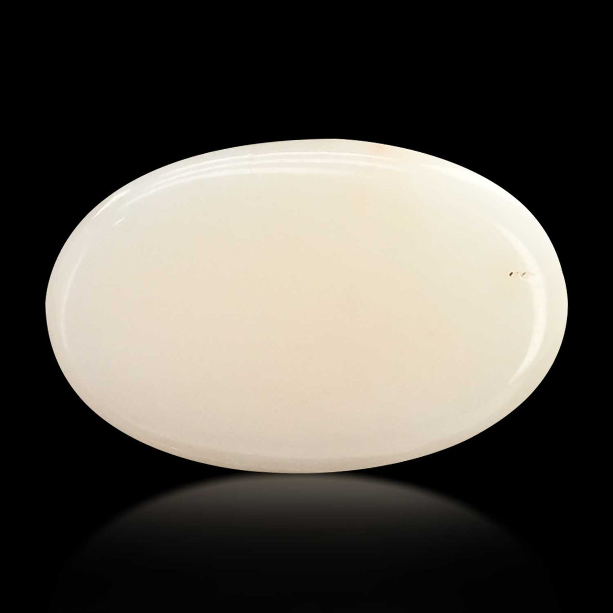 Japani White Coral 9.18 Carat