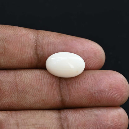 Japani White Coral 9.18 Carat