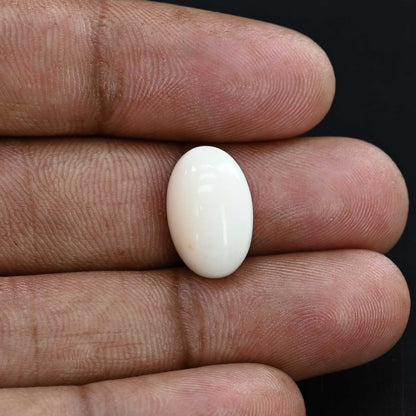 Japani White Coral 9.18 Carat