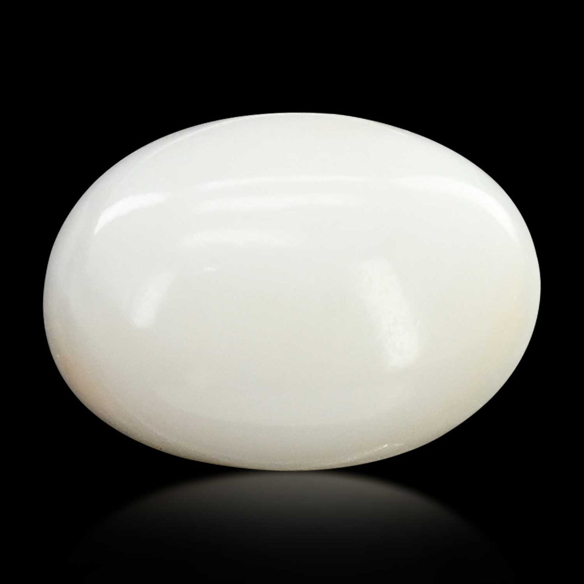 Japani White Coral 7.08 Carat