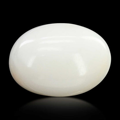 Japani White Coral 7.08 Carat