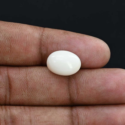 Japani White Coral 7.08 Carat