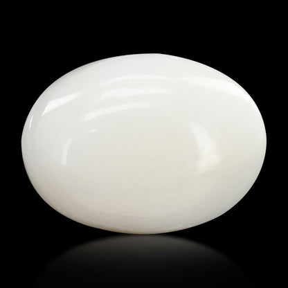 Japani White Coral 6.44 Carat