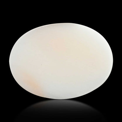 Japani White Coral 6.44 Carat