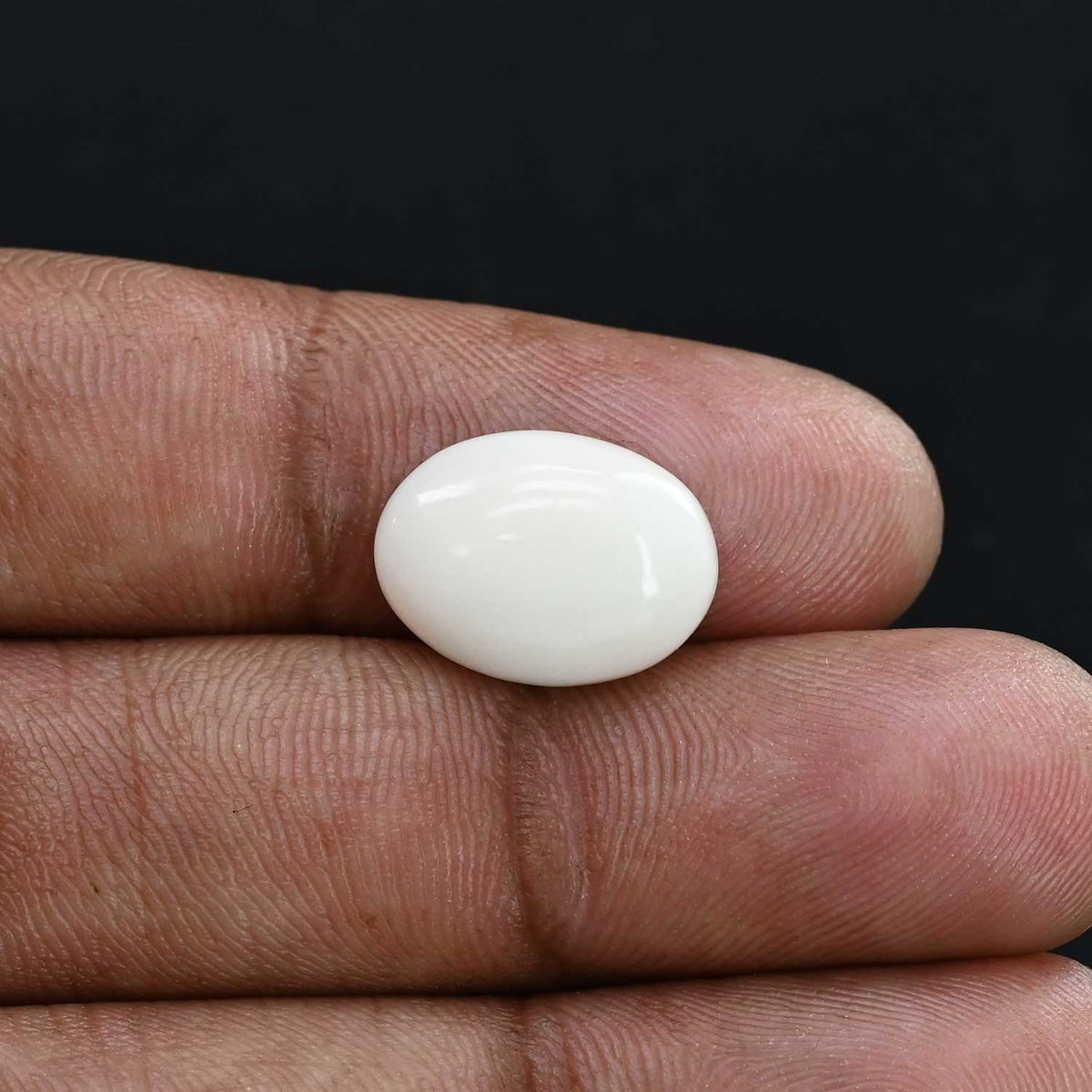 Japani White Coral 6.44 Carat