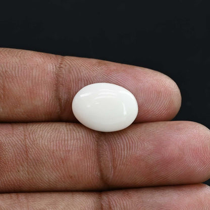 Japani White Coral 6.44 Carat