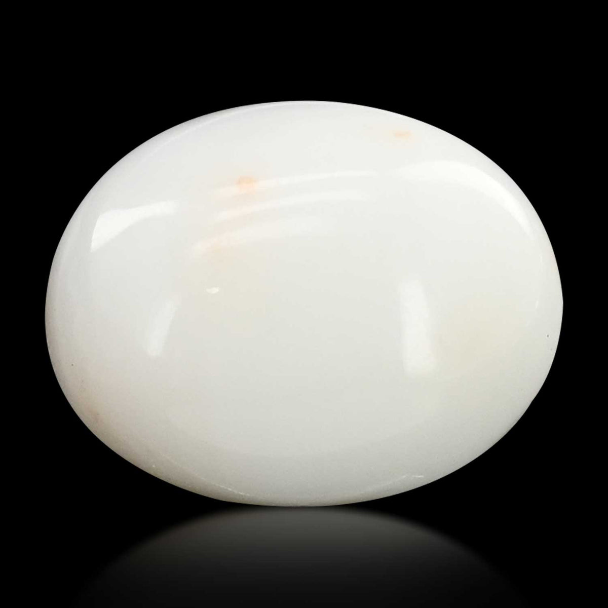 Japani White Coral 8.59 Carat