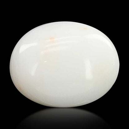 Japani White Coral 8.59 Carat