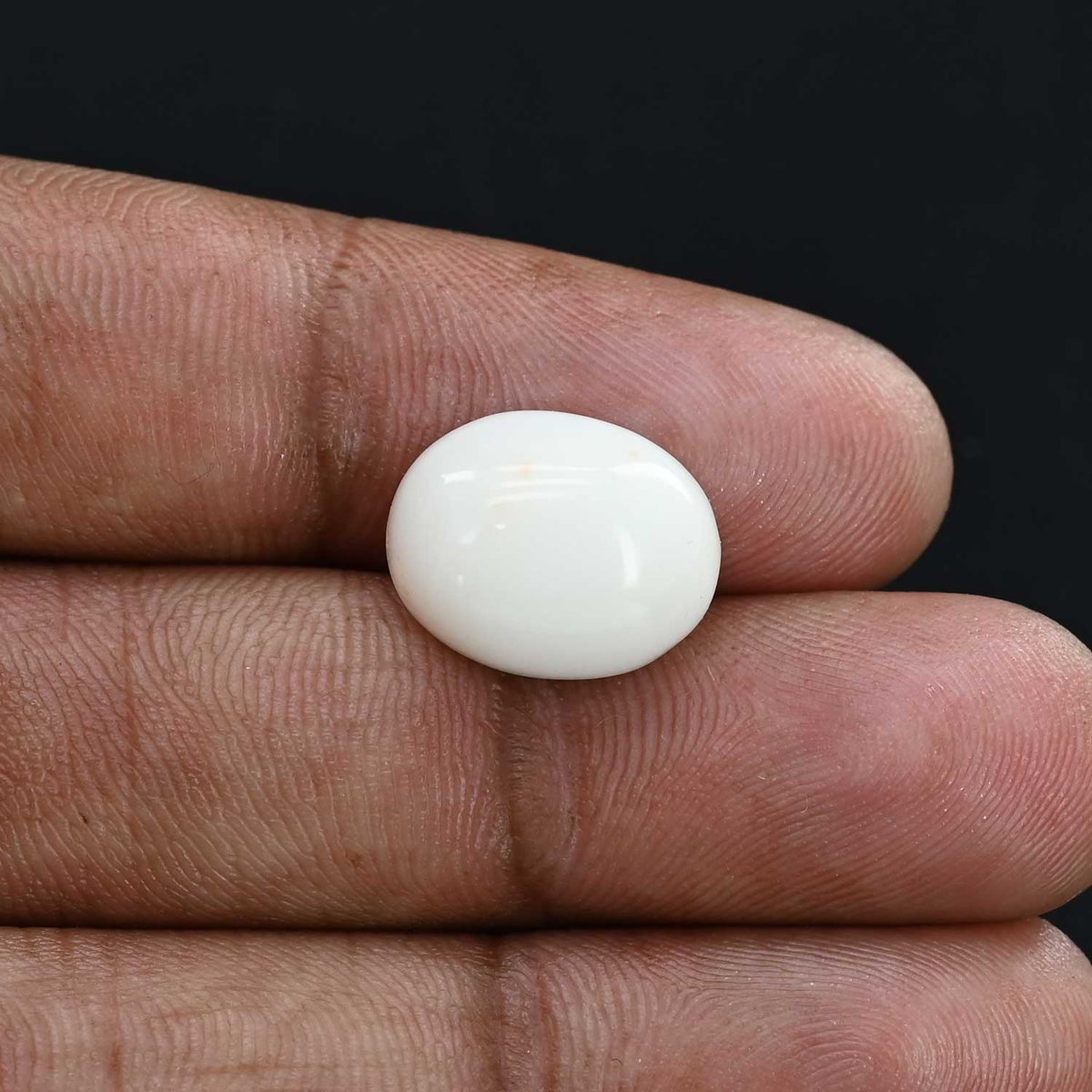 Japani White Coral 8.59 Carat