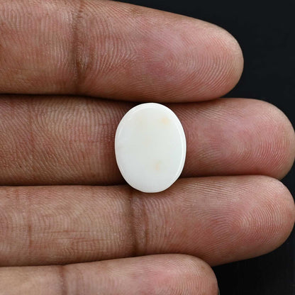 Japani White Coral 8.59 Carat