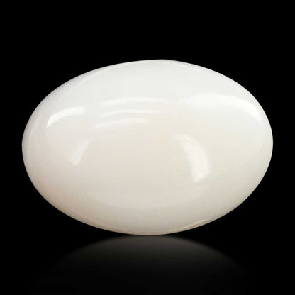 Japani White Coral 8.21 Carat