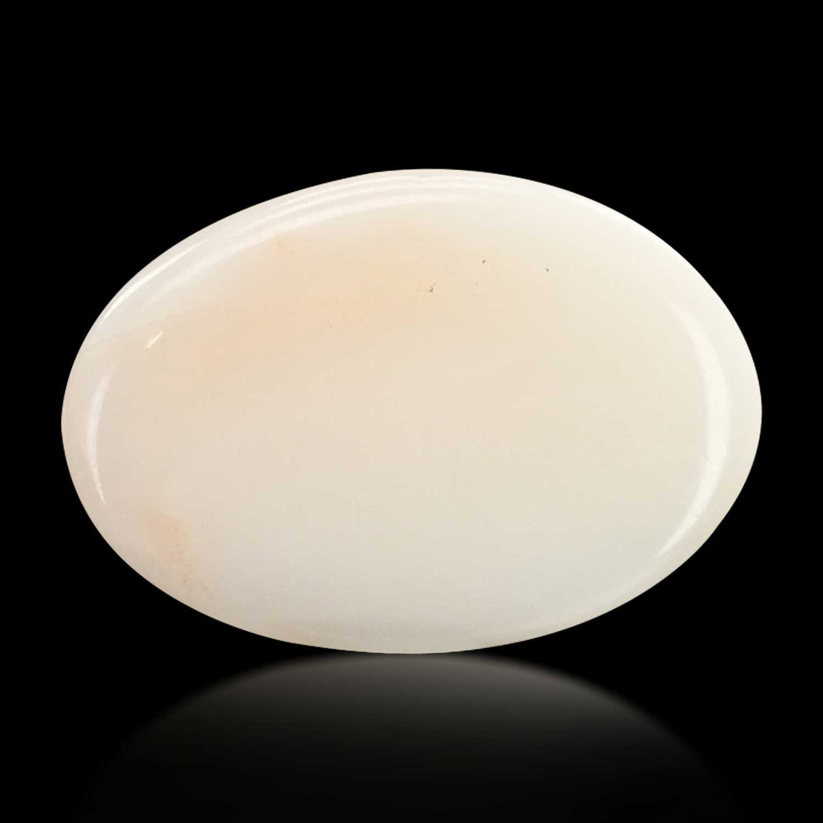 Japani White Coral 8.21 Carat