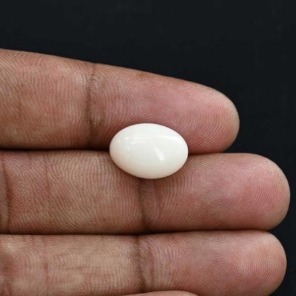 Japani White Coral 8.21 Carat