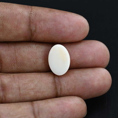 Japani White Coral 8.21 Carat