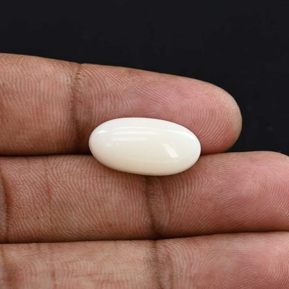 Japani White Coral 10.75 Carat