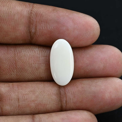 Japani White Coral 10.75 Carat