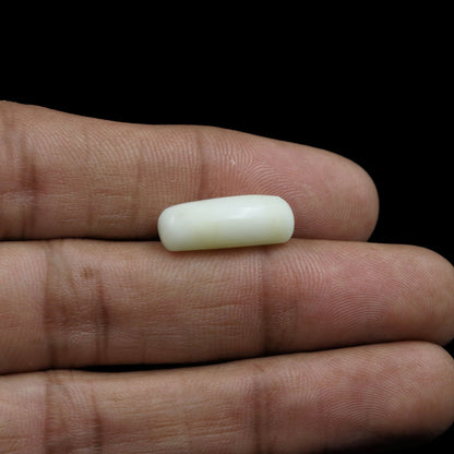Japani White Coral 7.91 Carat