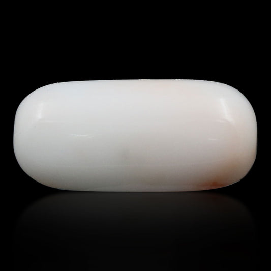Japani White Coral 8.66 Carat